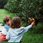 TikTok Shop明年1月上调欧洲五国佣金，Ozon哈萨克斯坦站FBO模式上线，泰国电商三强竞争白热化