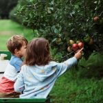 美客多拉美最大Cross-Dock中心投运，美国情人节消费预计291亿美元创新高，澳大利亚对华吊顶钢框架征14.5%双反税