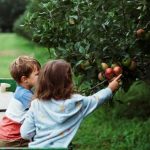 MSC FIREHORSE新航线正式投运，Temu波兰用户2034万反超Allegro，土耳其2月电商规模破91亿美元