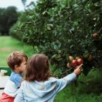 韩国电商平台薇美铺正式宣告破产，小米法国巴黎首家直营店启动试营业；Temu计划2026年底实现欧洲仓覆盖率80%