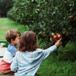 Wildberries运动品类2-3月需求增长，绿联科技冲刺A+H双平台，巴西婴童市场三年双位数增长