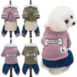 宠物御寒潮引爆千亿市场，冰火两重天揭示行业分化格局